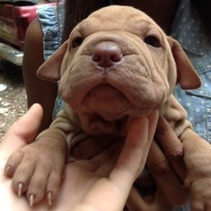 Meet your Posher, Kathleen